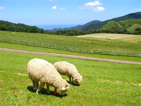 京都 火山|別世界のような景色に癒される避暑地・京都の「高原。